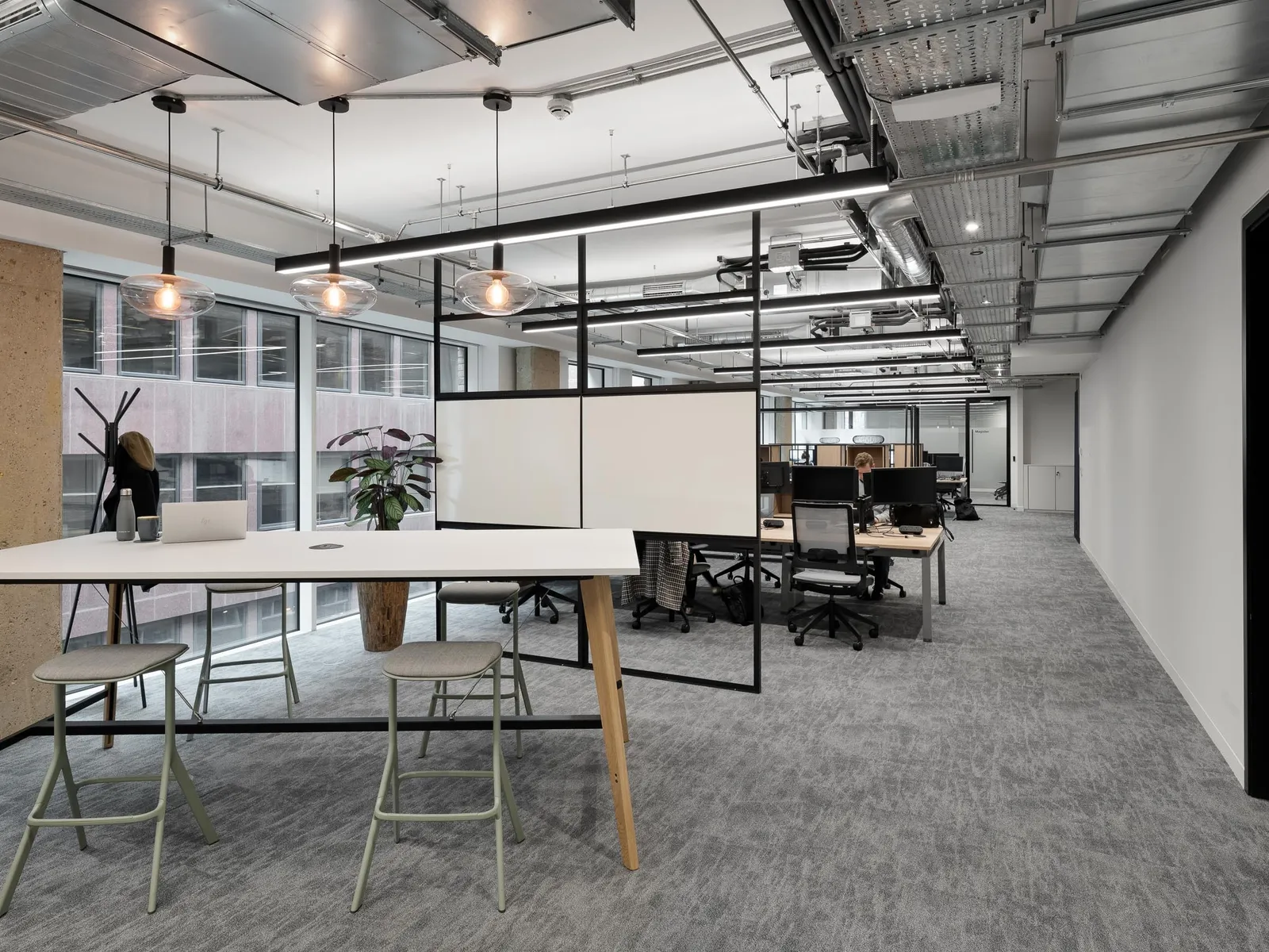 Web DAI photo by Tom Bird 14