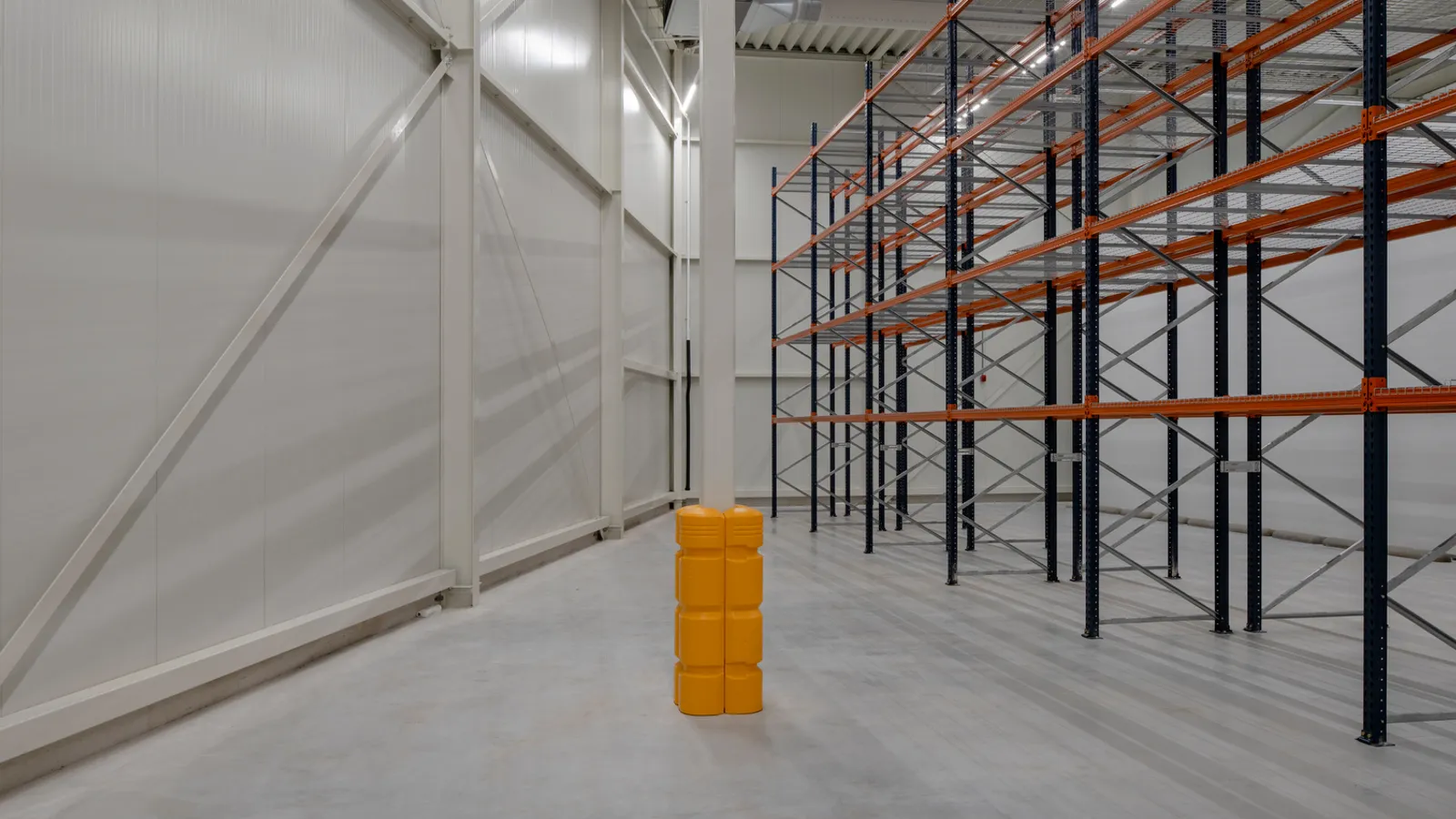 20221107 xerimis 065