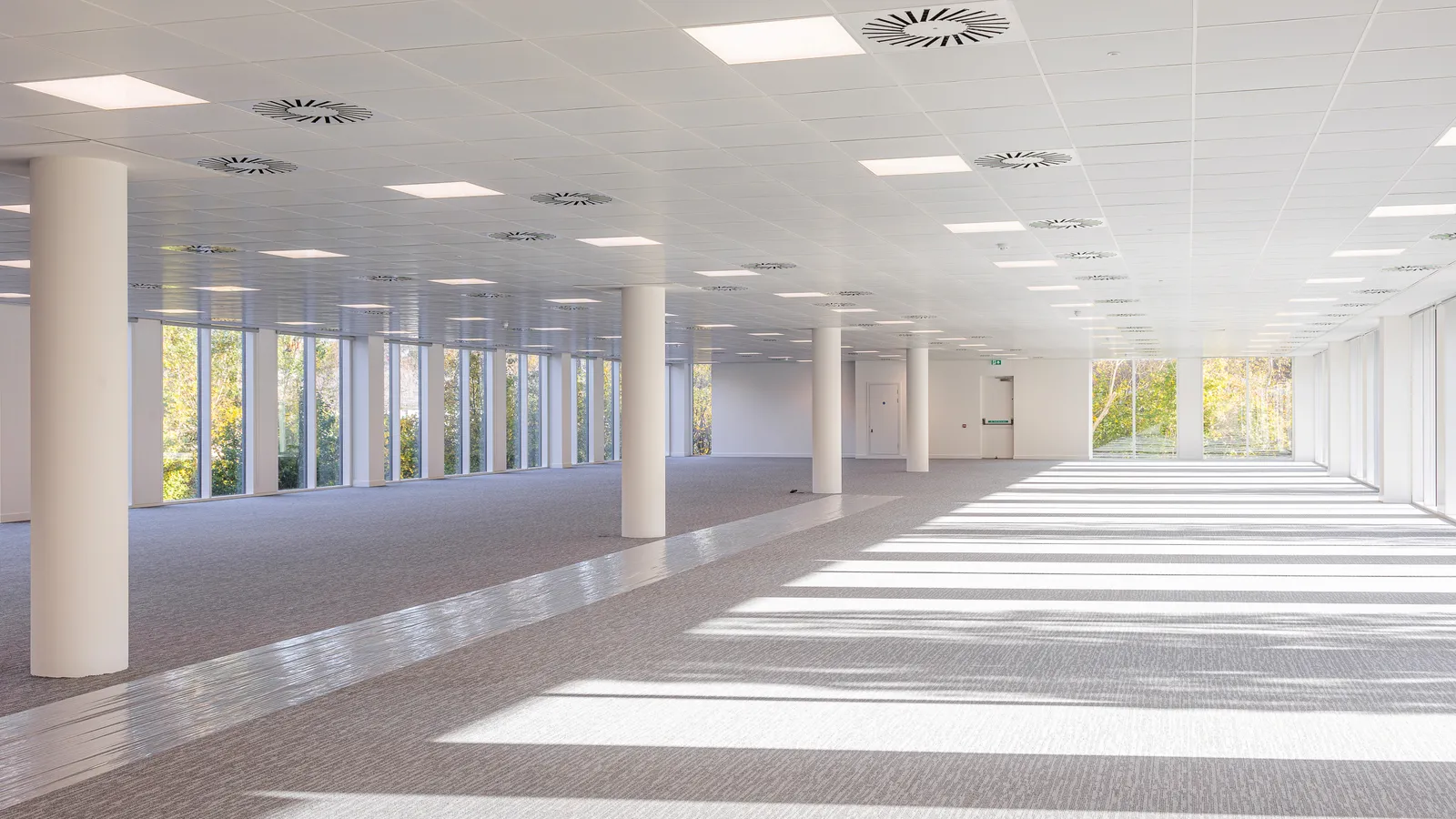 2024 11 13 untitled 073