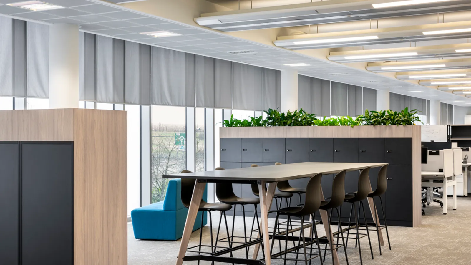 Area AMD Office Curator SMALL 20