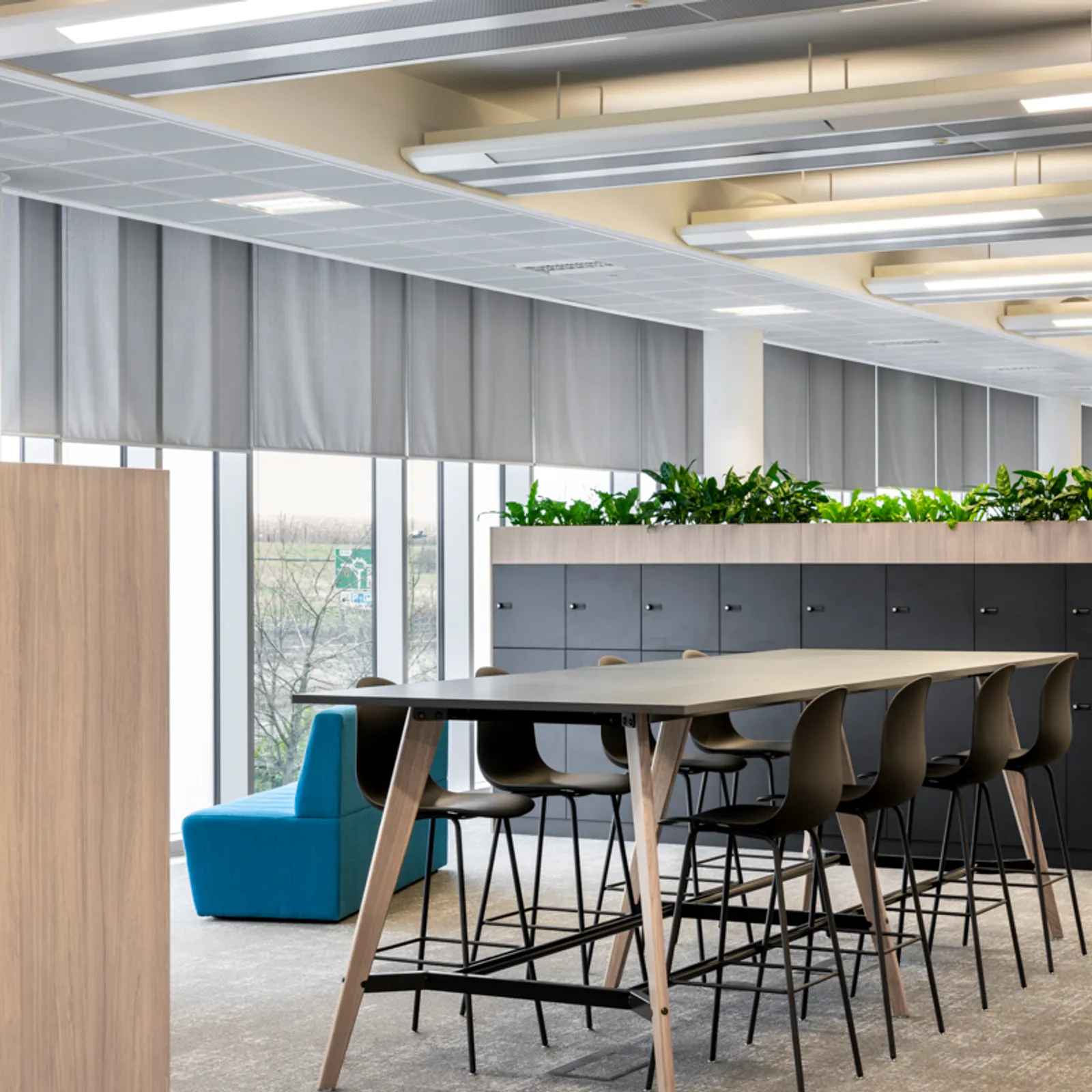 Area AMD Office Curator SMALL 20