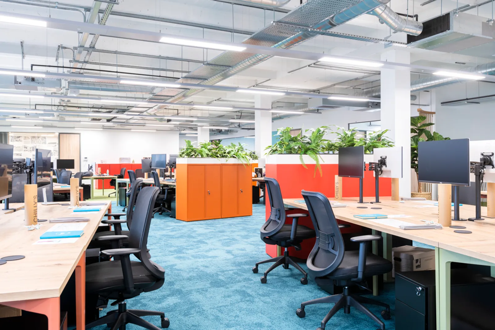 Area Away Resorts OFFICE CURATOR SMALL 13