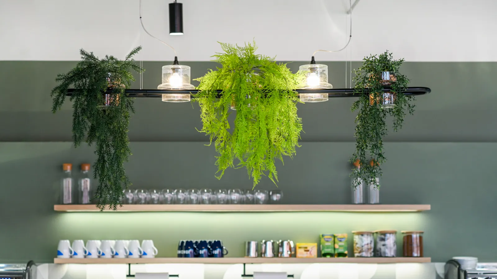 Area Fasthost Office Curator SMALL 14