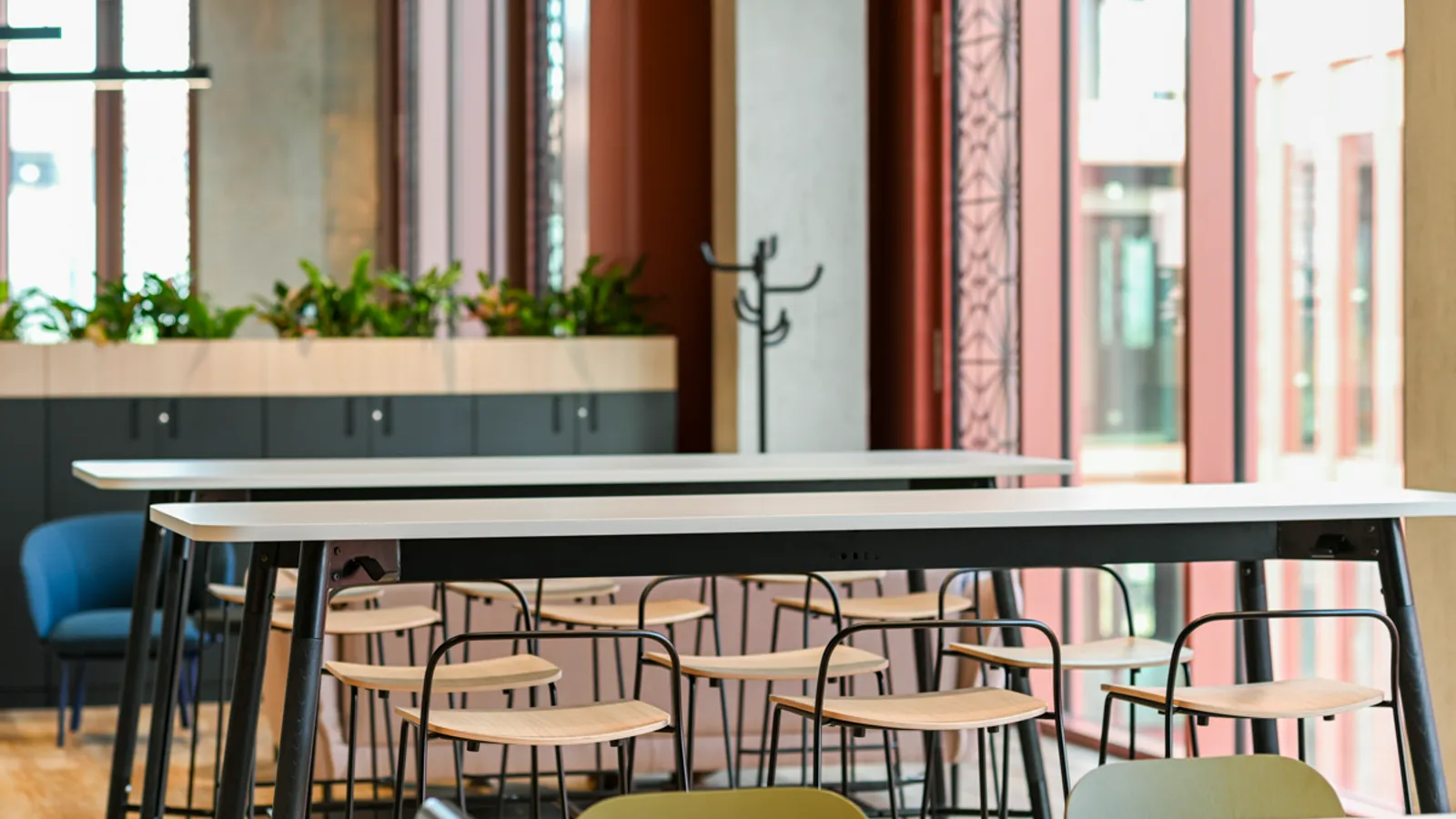 Area Fasthost Office Curator SMALL 15