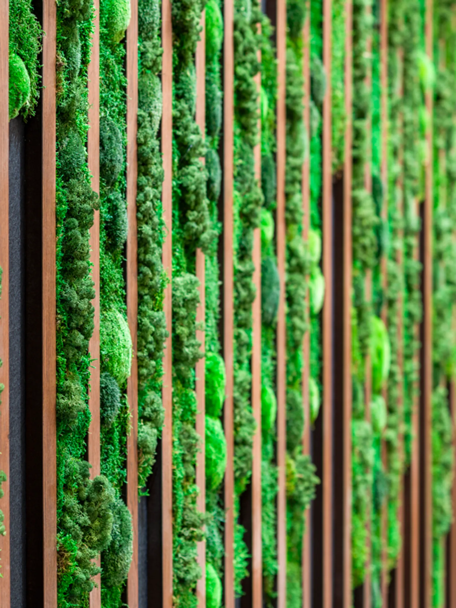 Area HPE Office Curator SMALL 29