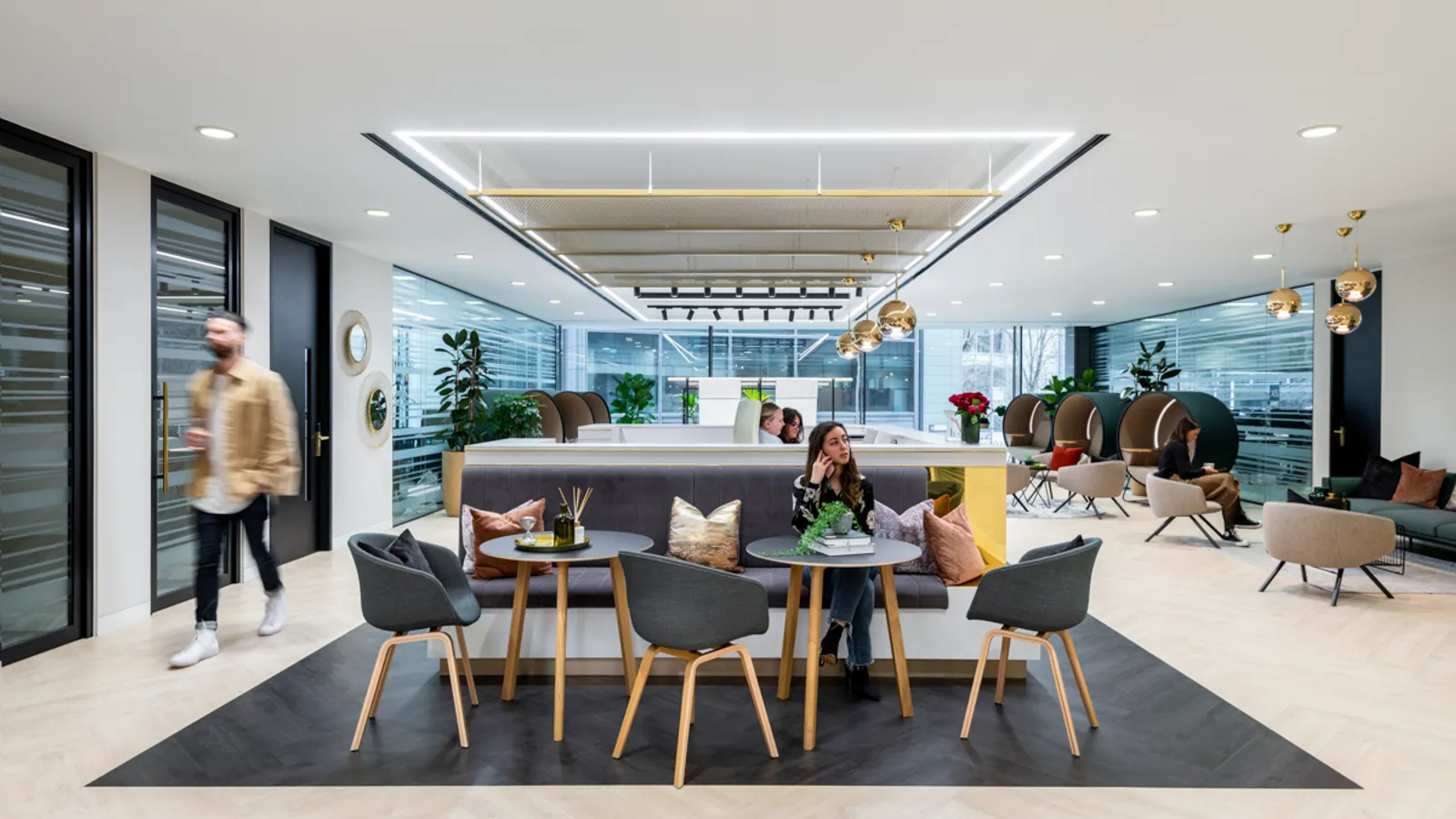 Area Orega Office Curator SMALL 11