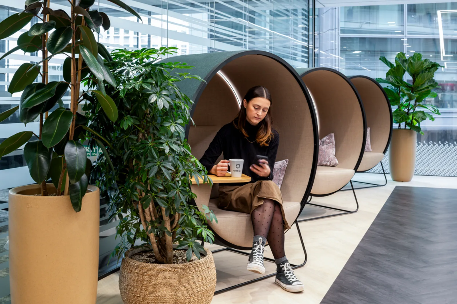 Area Orega Office Curator SMALL 16