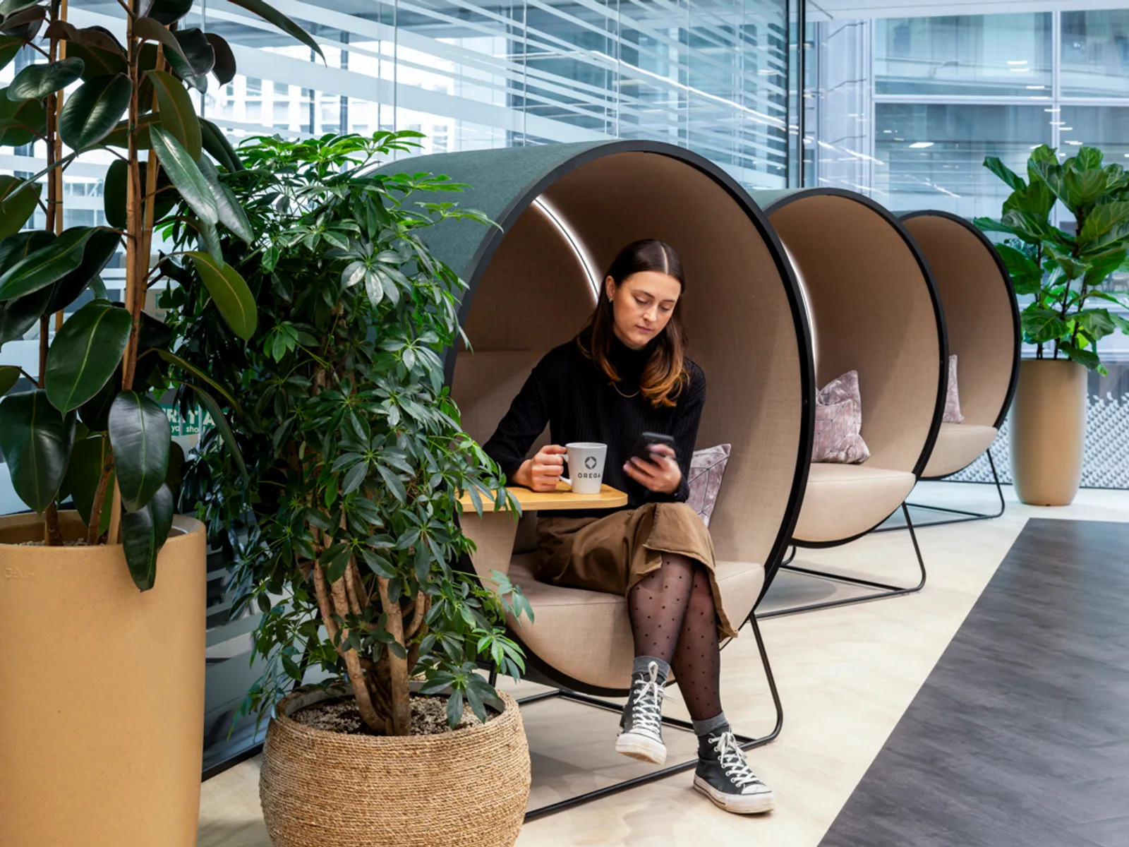 Area Orega Office Curator SMALL 16