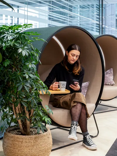 Area Orega Office Curator SMALL 16