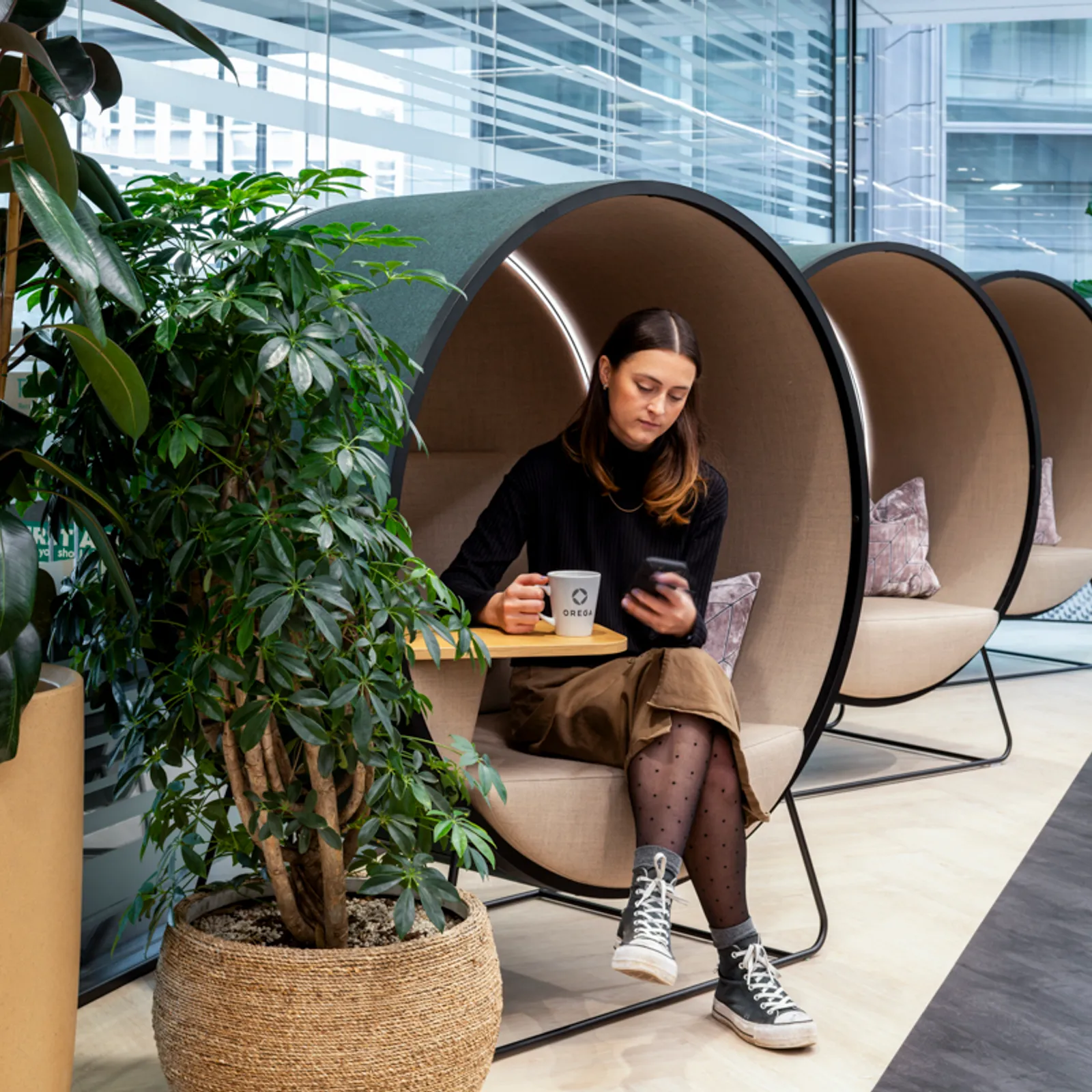 Area Orega Office Curator SMALL 16