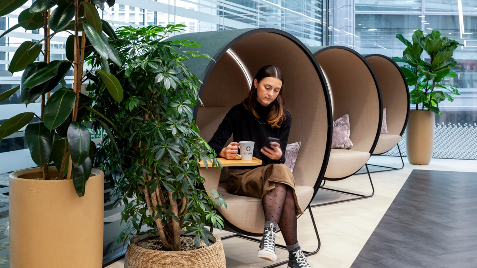 Area Orega Office Curator SMALL 16