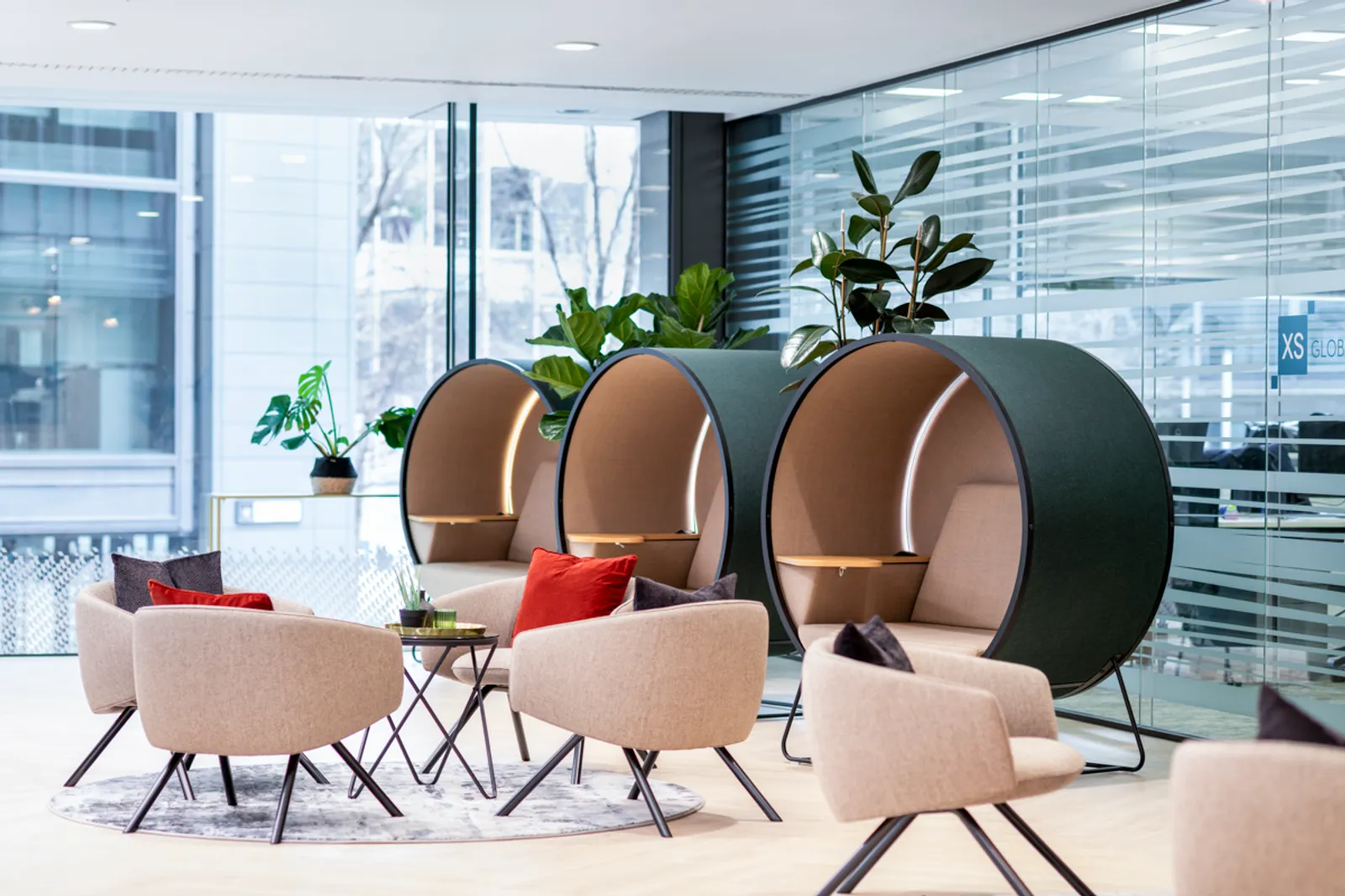 Area Orega Office Curator SMALL 19