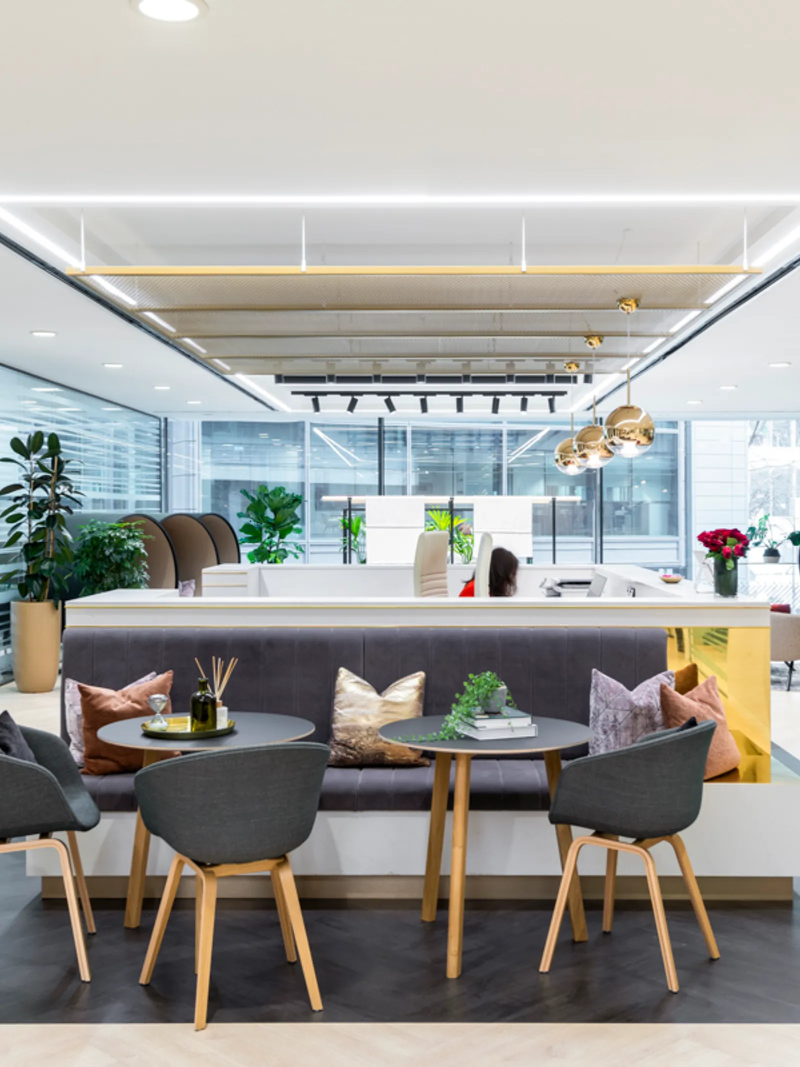 Area Orega Office Curator SMALL 4