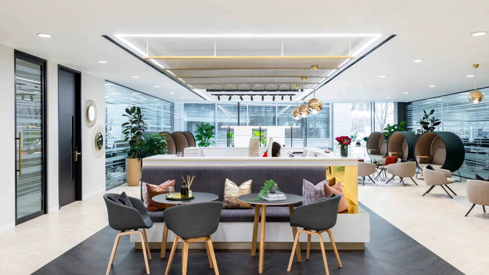 Area Orega Office Curator SMALL 4