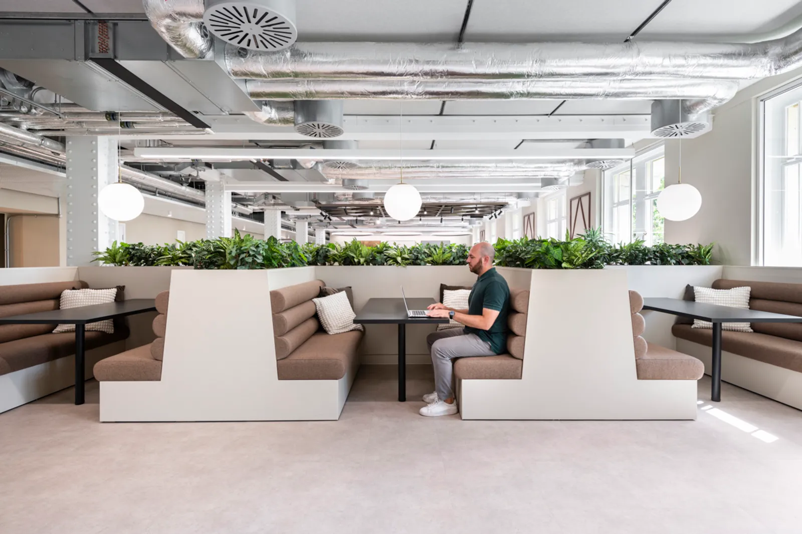 Area Orega Strand Office Curator SMALL 2