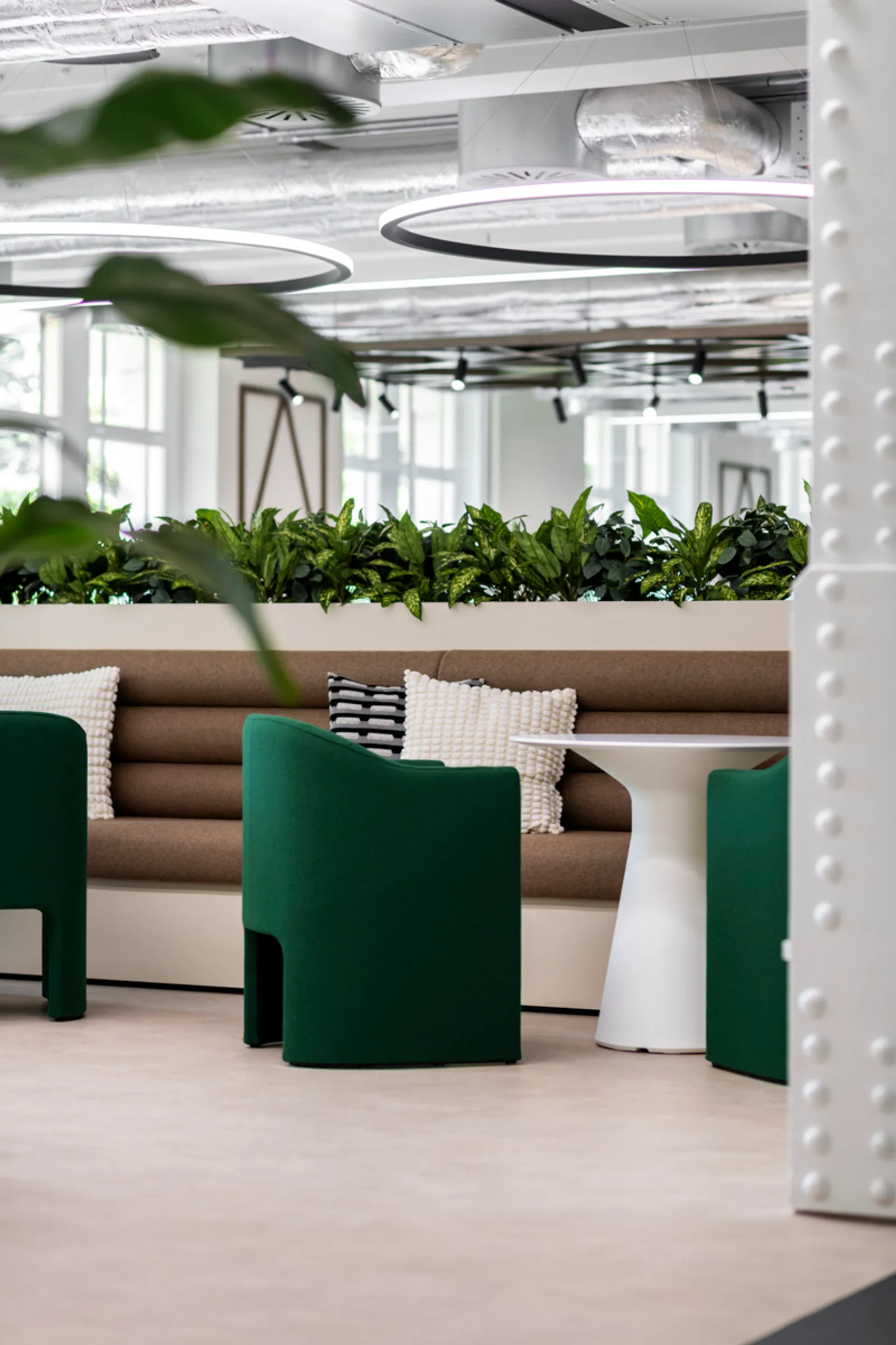 Area Orega Strand Office Curator SMALL 28