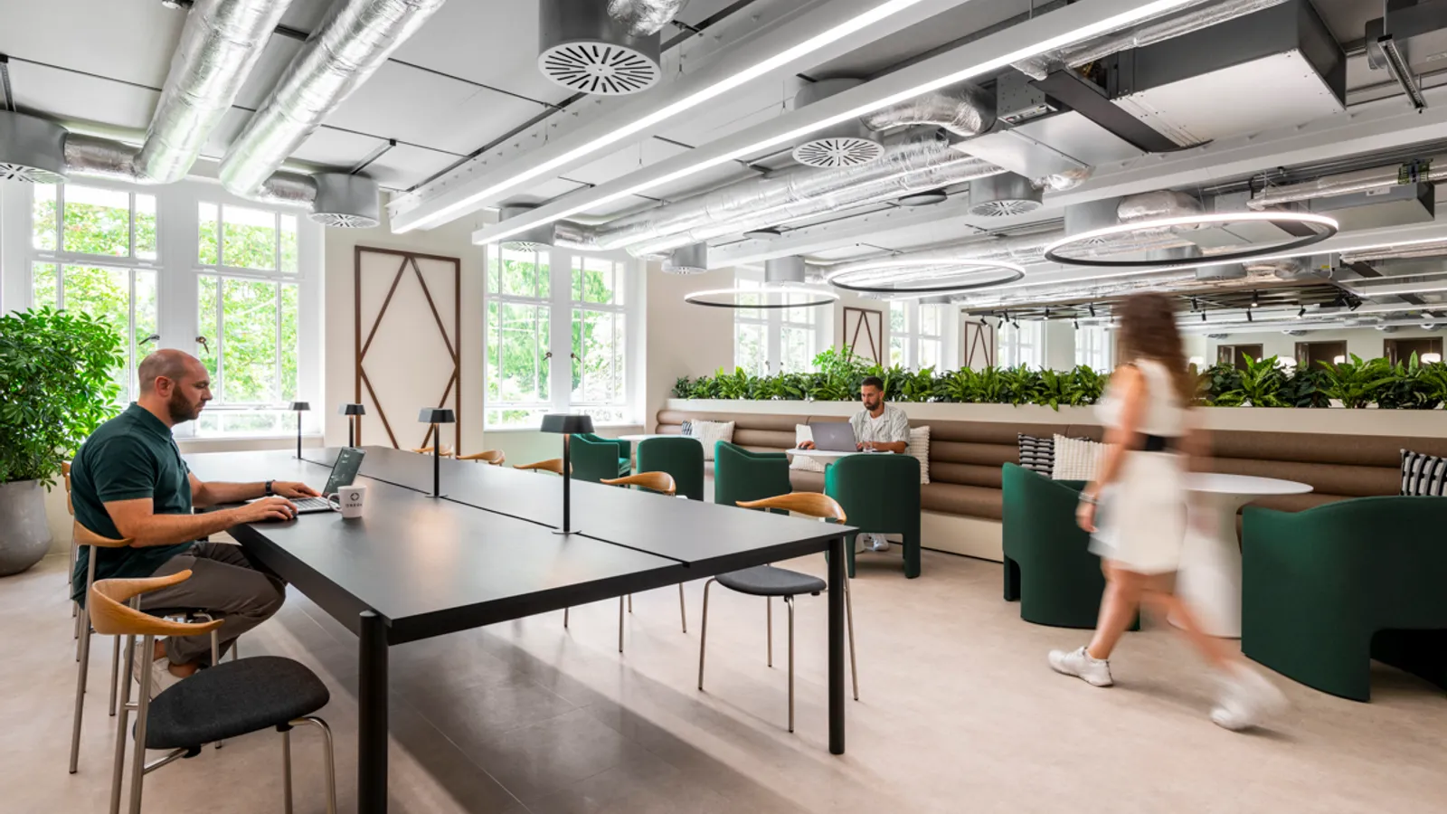 Area Orega Strand Office Curator SMALL 9