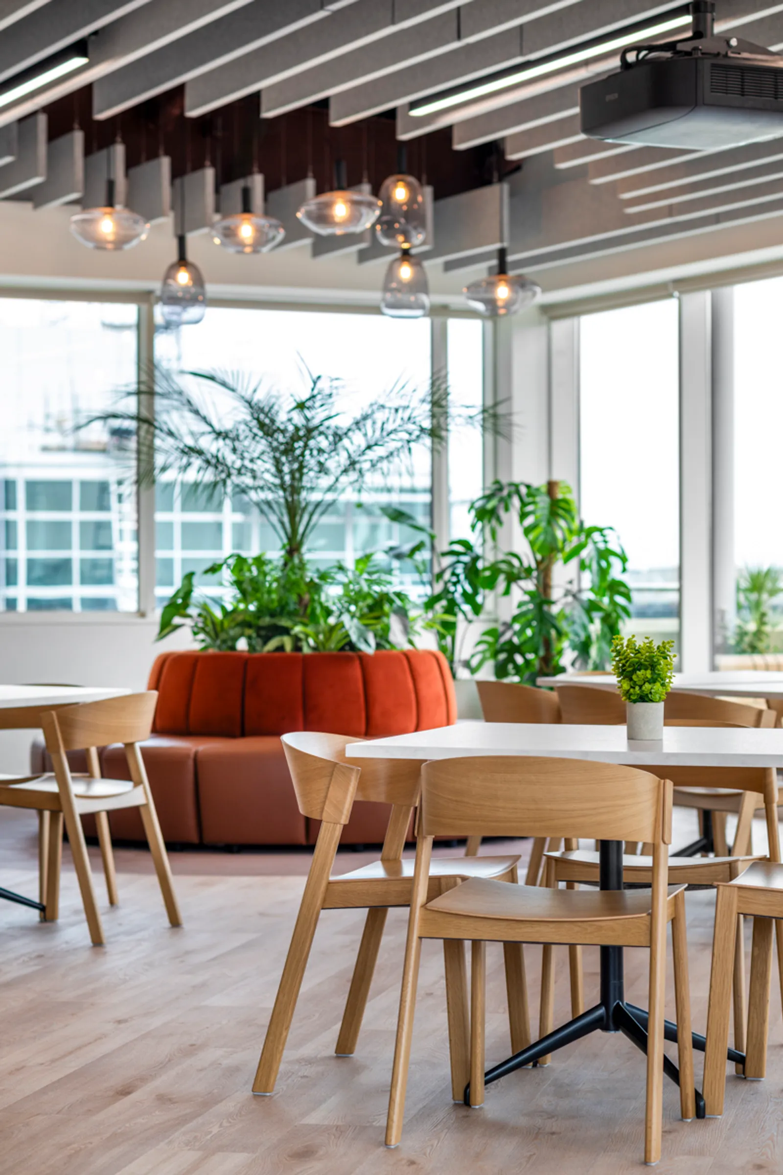 a seating area in an office with comfortable lighting and green biophilic design elements