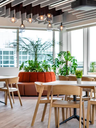 a seating area in an office with comfortable lighting and green biophilic design elements