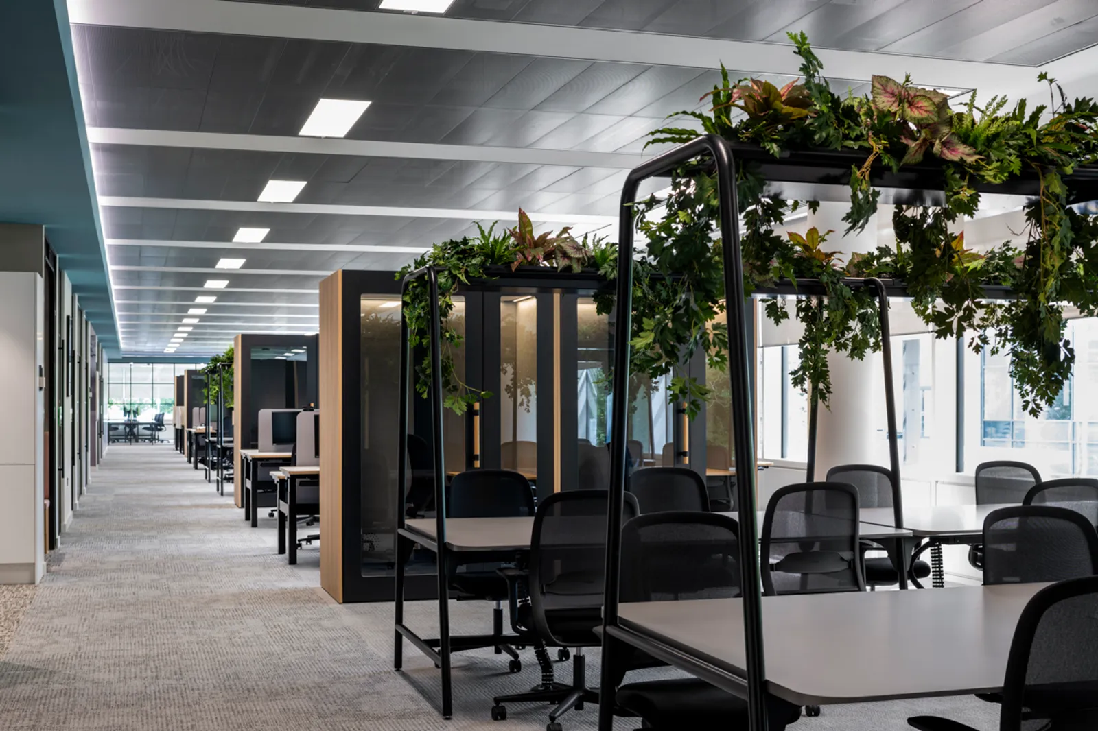 Area Suntory Office Curator SMALL 17