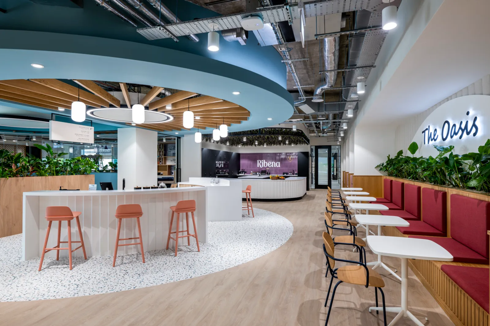 Area Suntory Office Curator SMALL 26