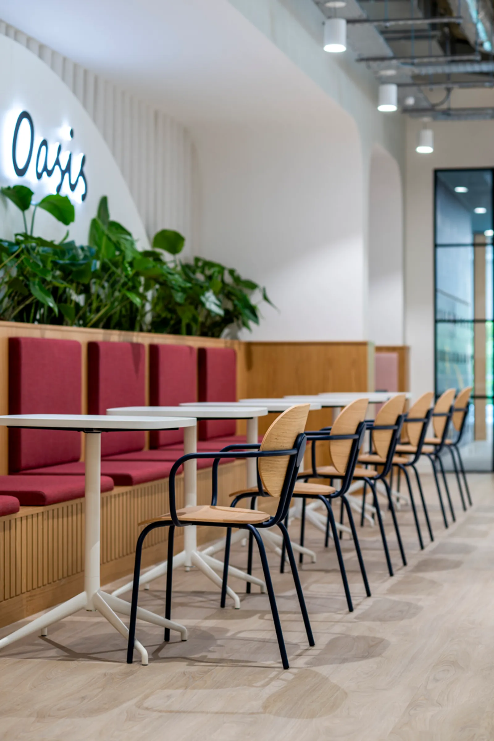 Area Suntory Office Curator SMALL 30