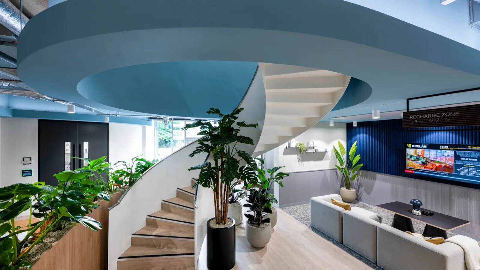 Area Suntory Office Curator SMALL 33