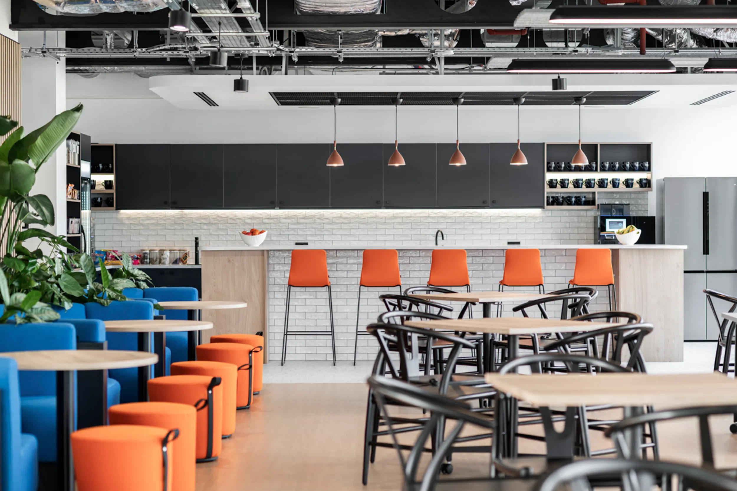 Area Veson Office Curator LARGE 13