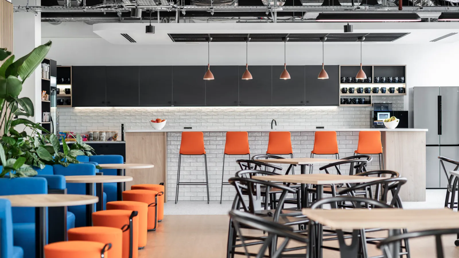 Area Veson Office Curator SMALL 13