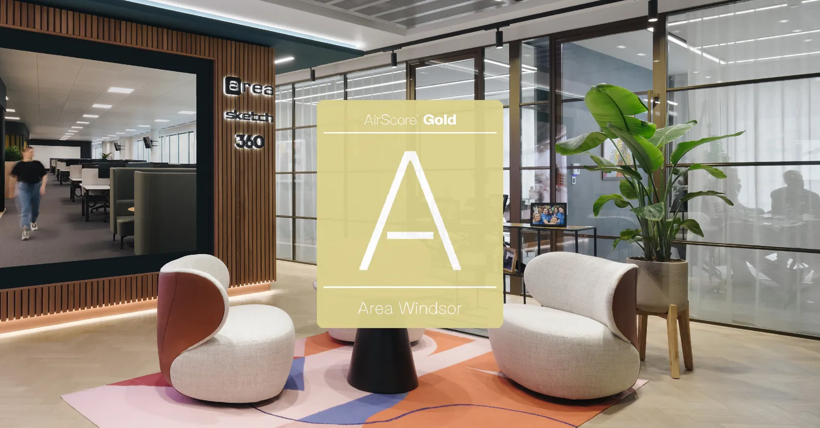 Area Windsor x Air Rated banner