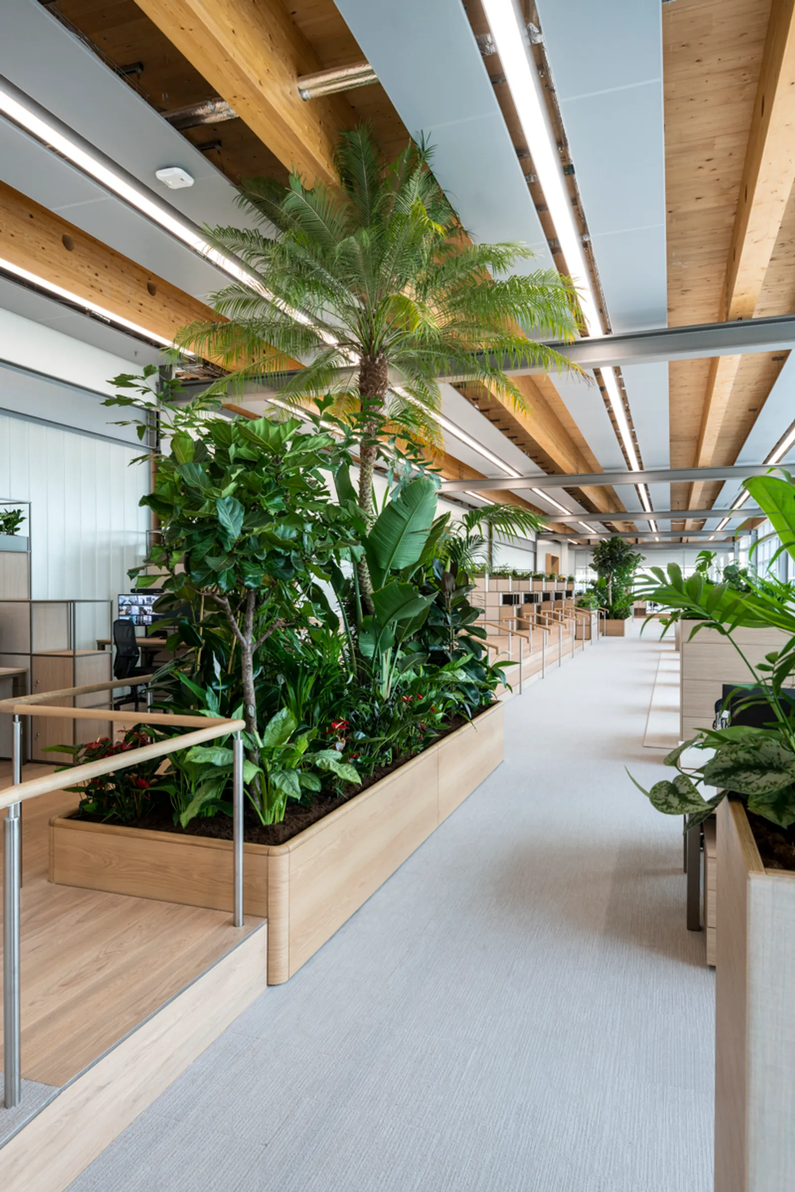 JLR Area Office Curator SMALL 10