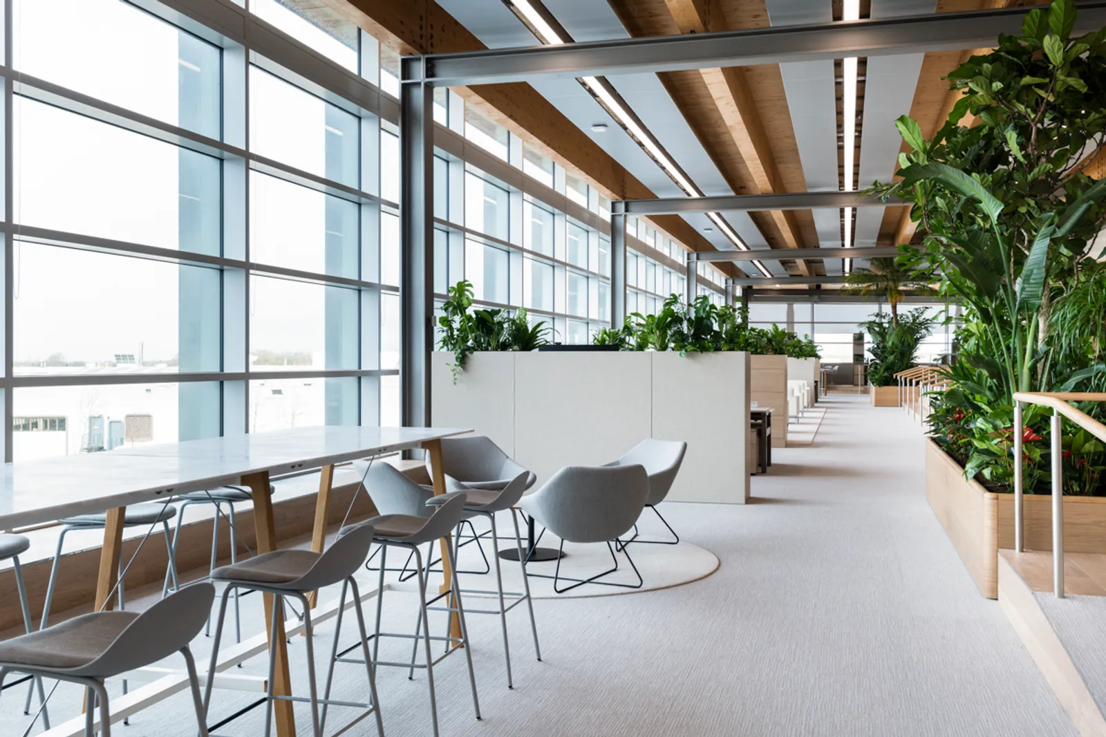 JLR Area Office Curator SMALL 6