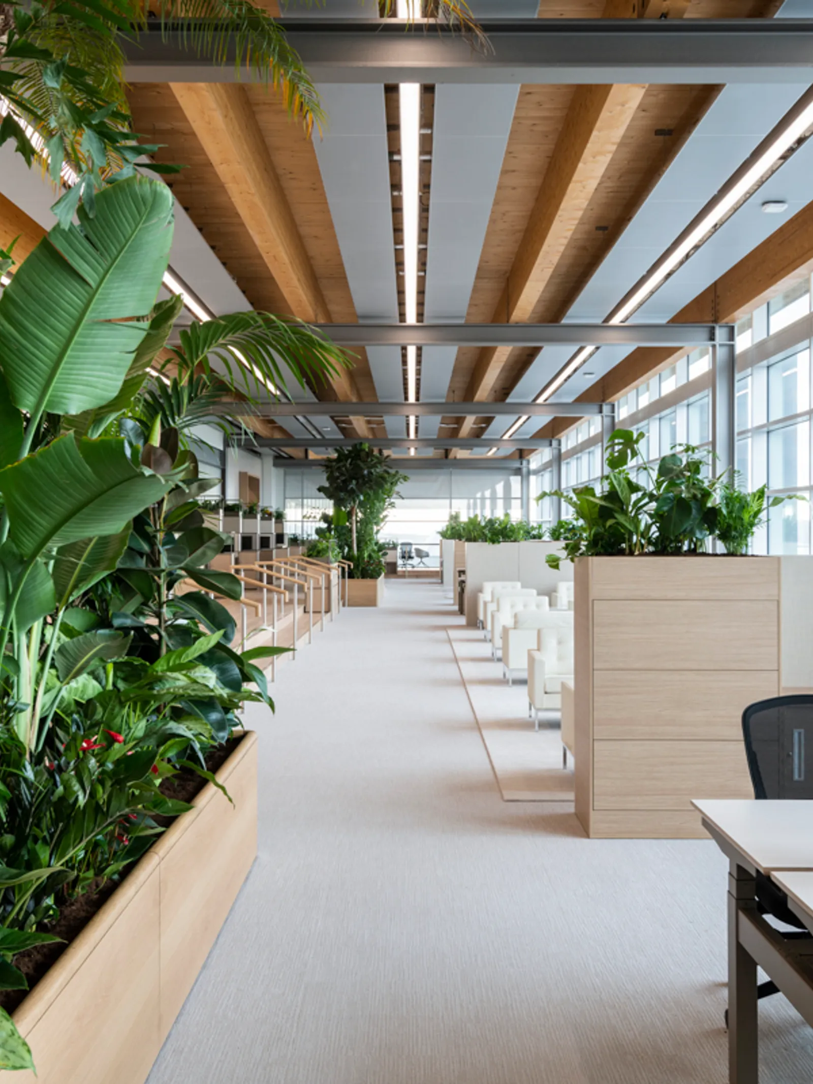 JLR Area Office Curator SMALL 9