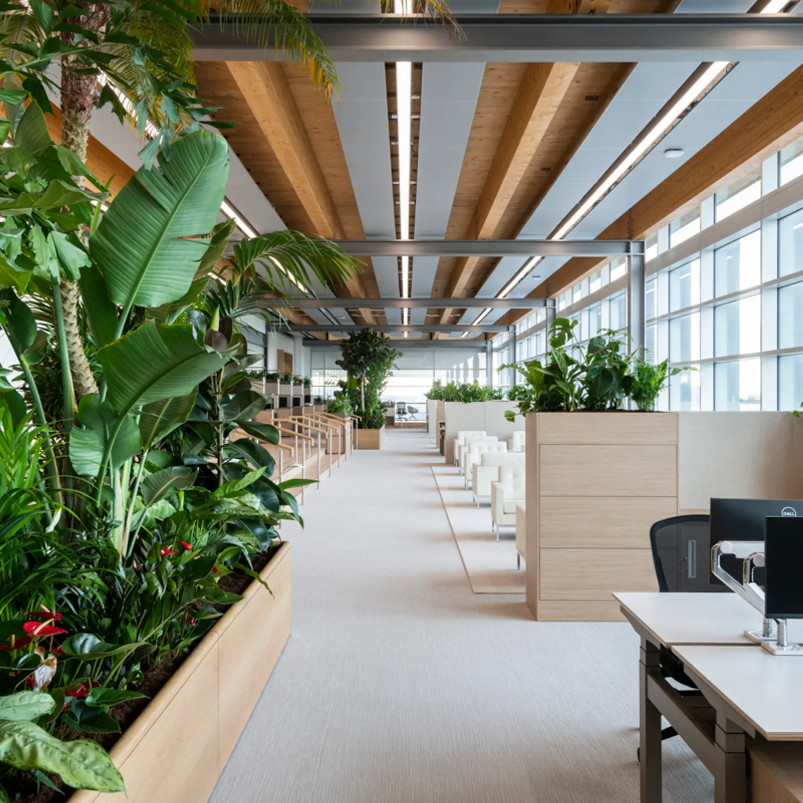 an open plan office design with lot of green plants and sustainable furniture