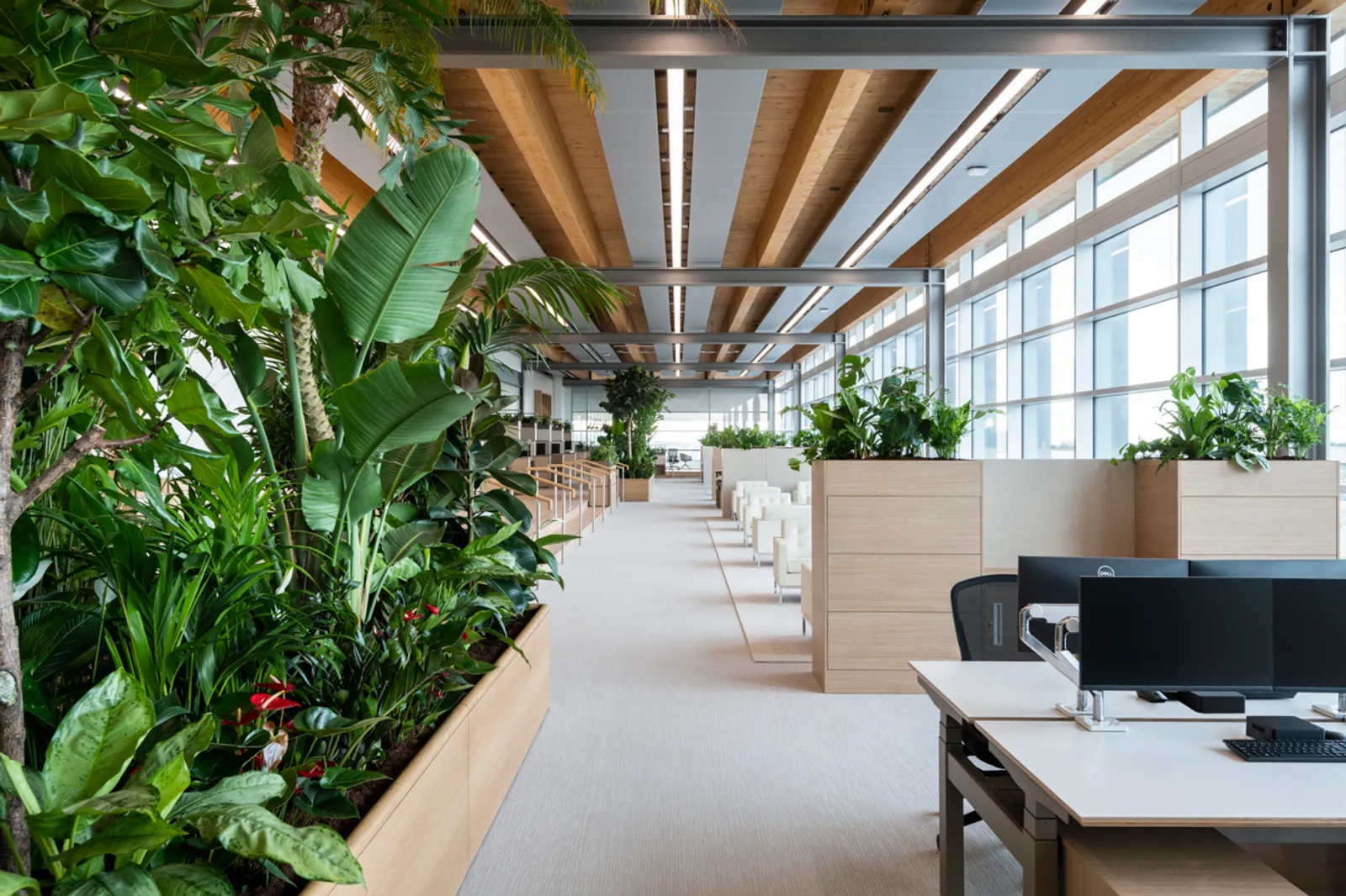 an open plan office design with lot of green plants and sustainable furniture