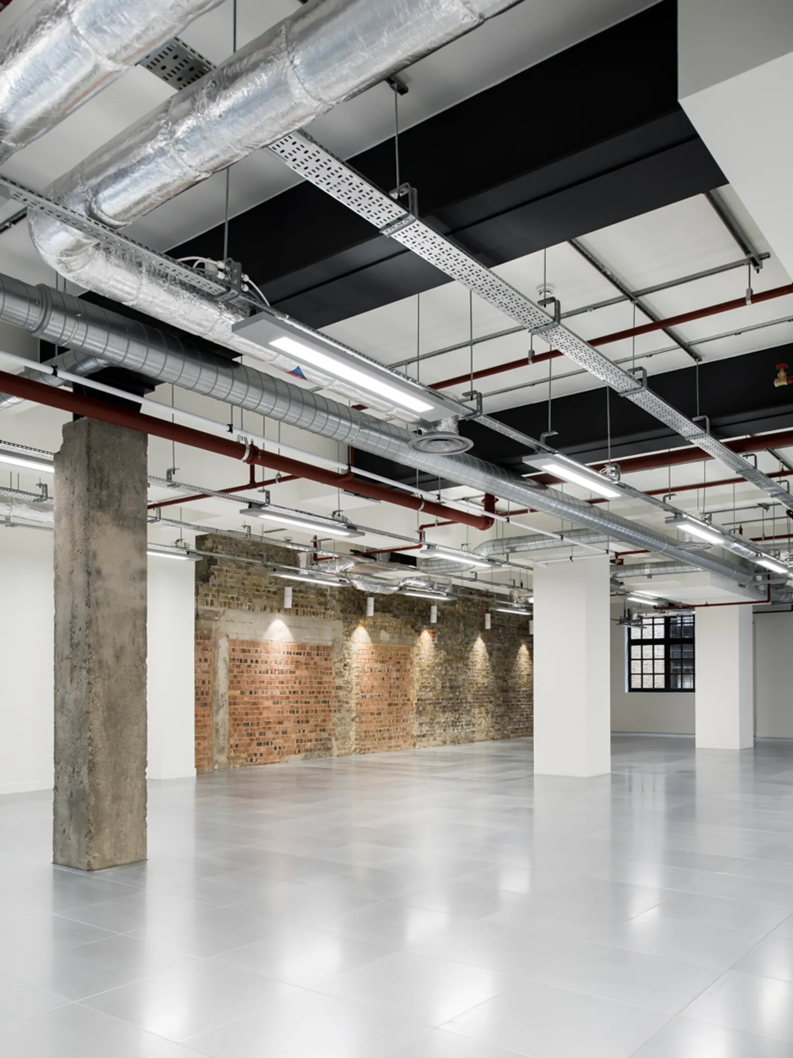 a vertical image showing a office with a recent cat a fit out