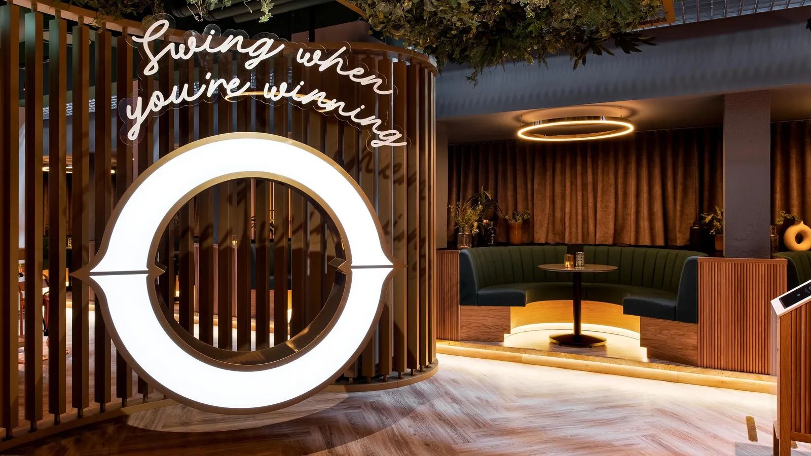 Web Oche photo by Tom Bird 17