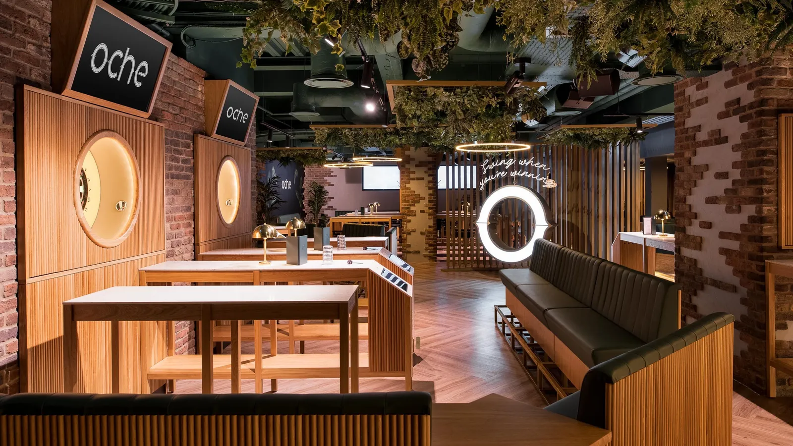 Web Oche photo by Tom Bird 18