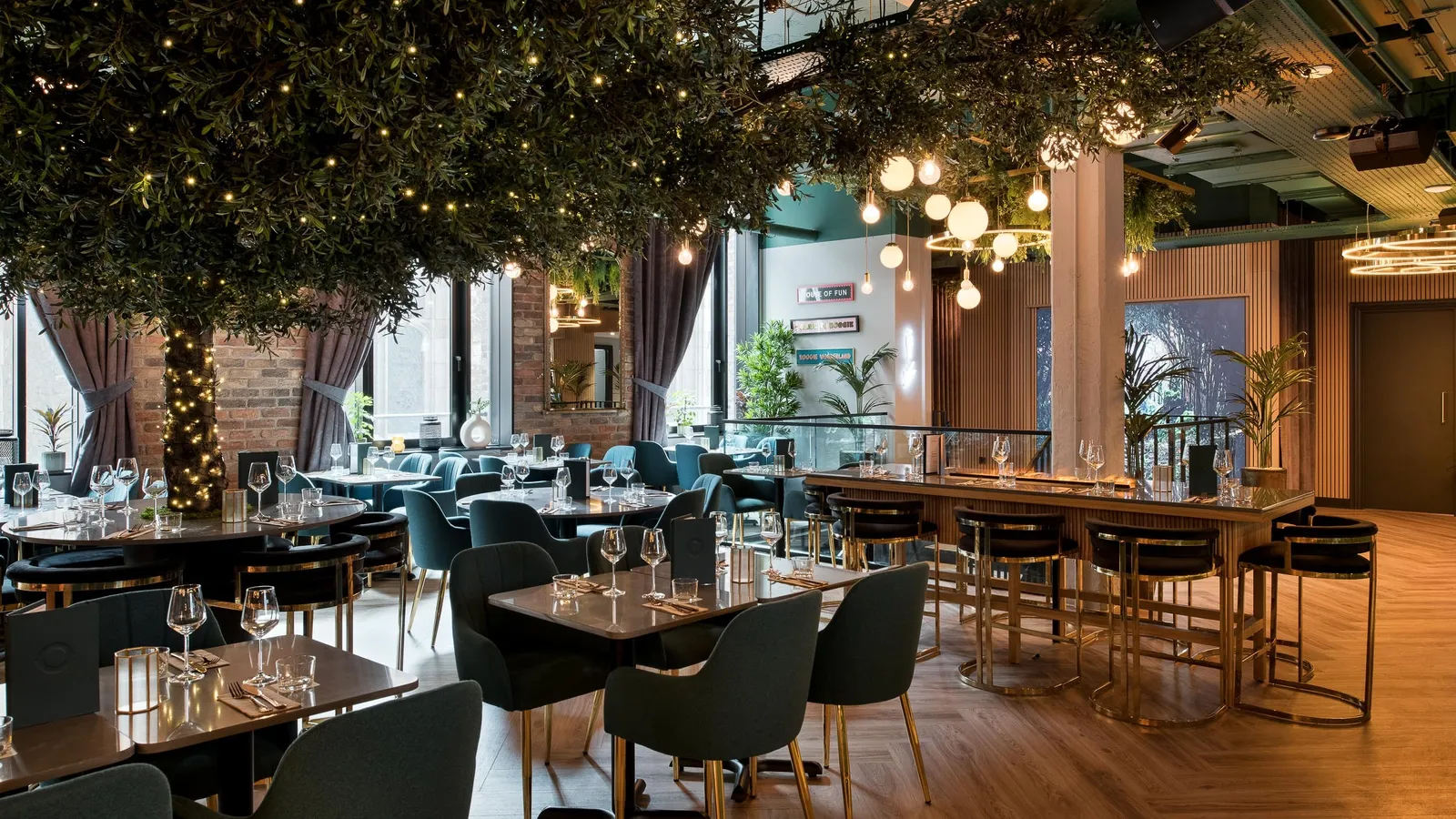 Web Oche photo by Tom Bird 2