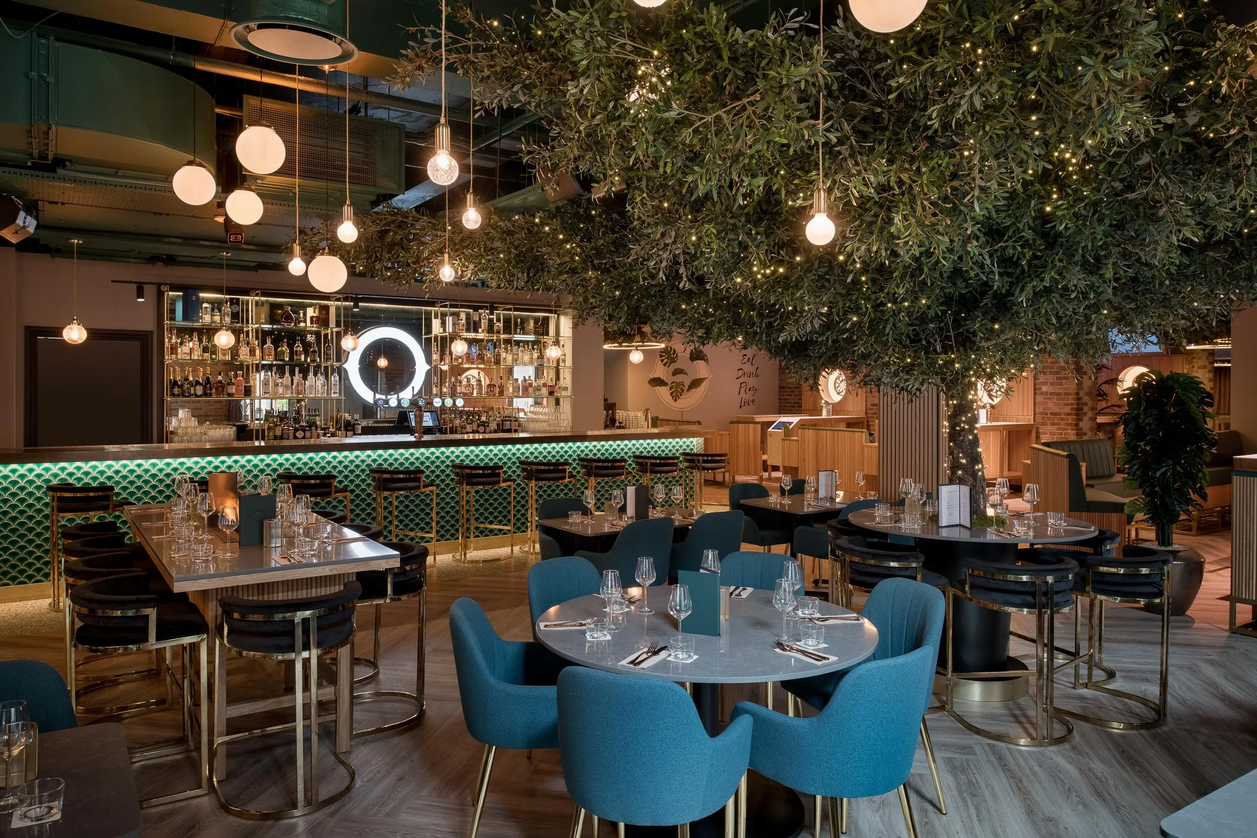 Web Oche photo by Tom Bird 4