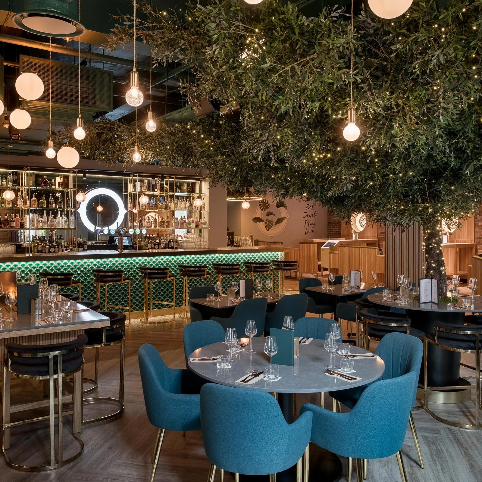 Web Oche photo by Tom Bird 4