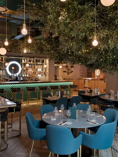 Web Oche photo by Tom Bird 4