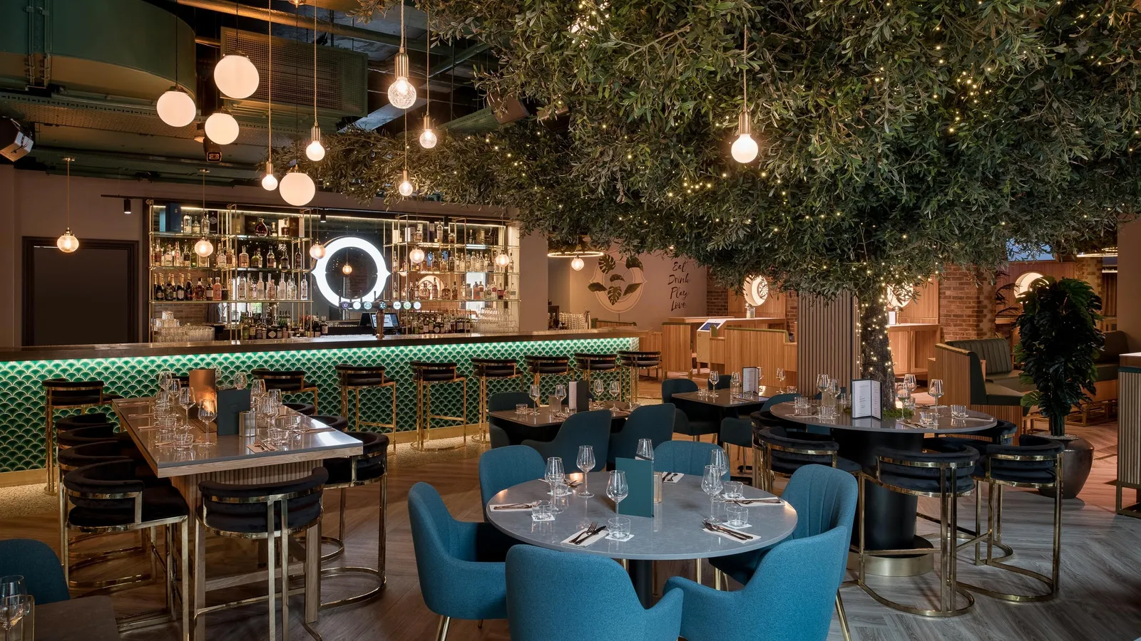 Web Oche photo by Tom Bird 4