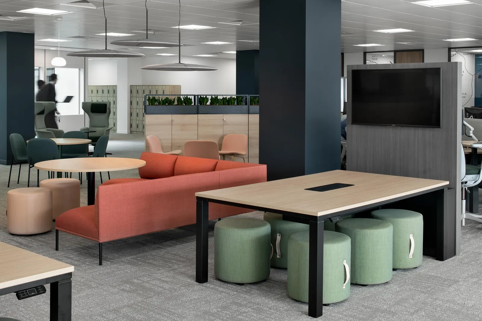 Web SRA photo by Tom Bird 21