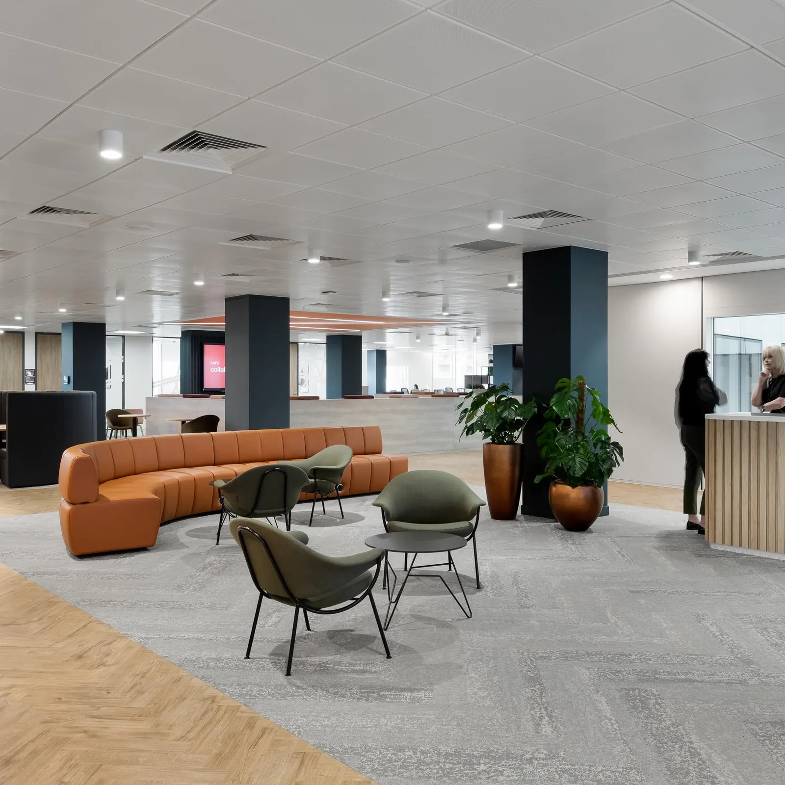 Web SRA photo by Tom Bird 2