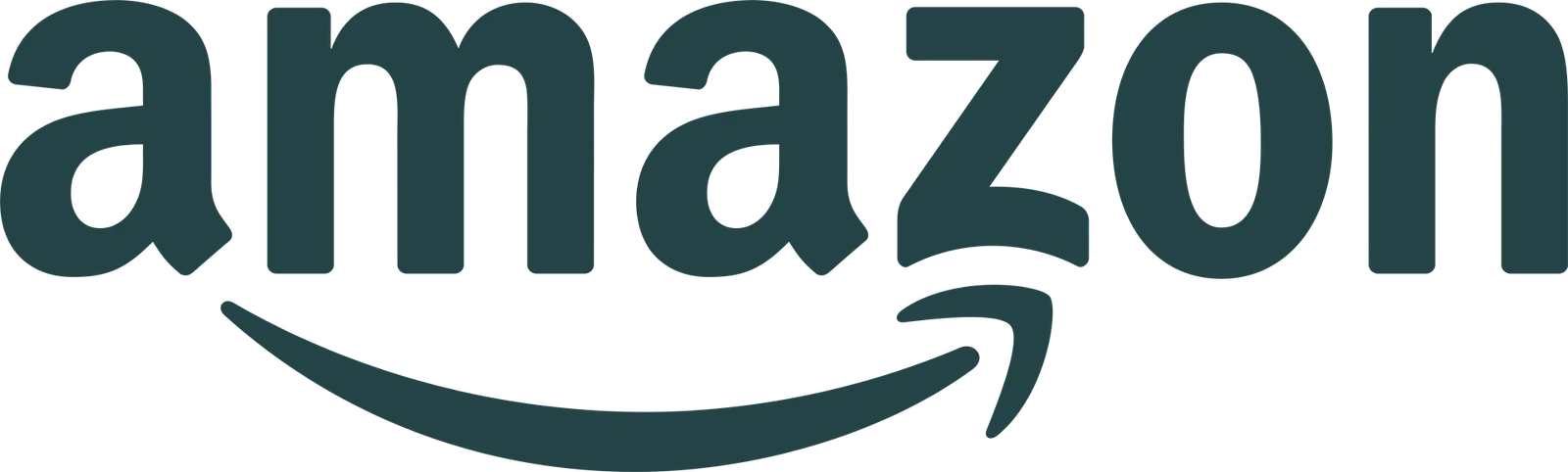 Amazon 02