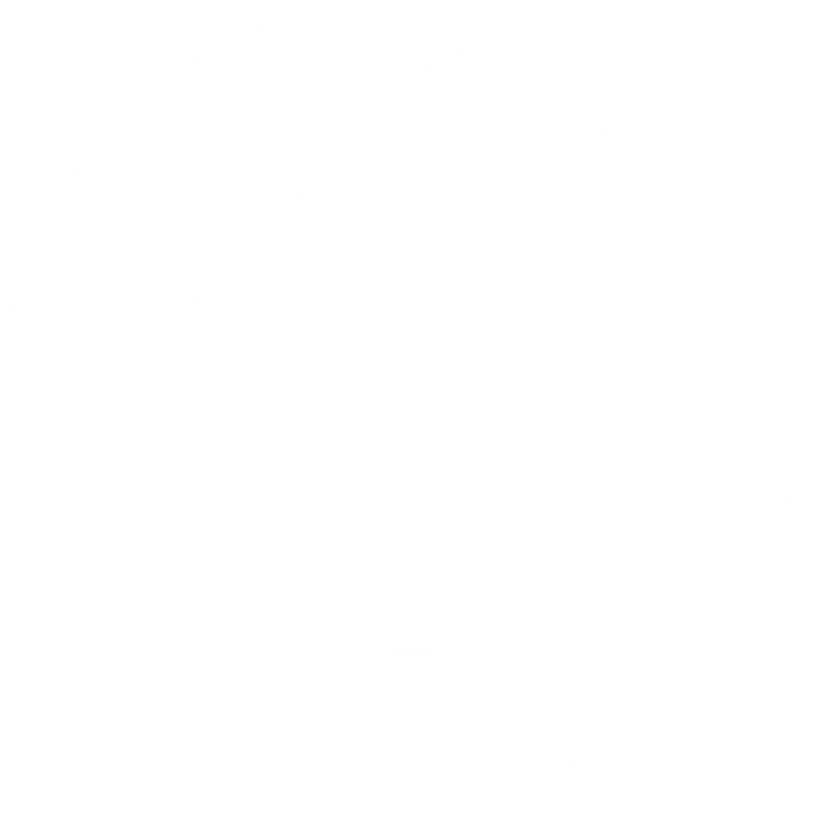 BMW 01