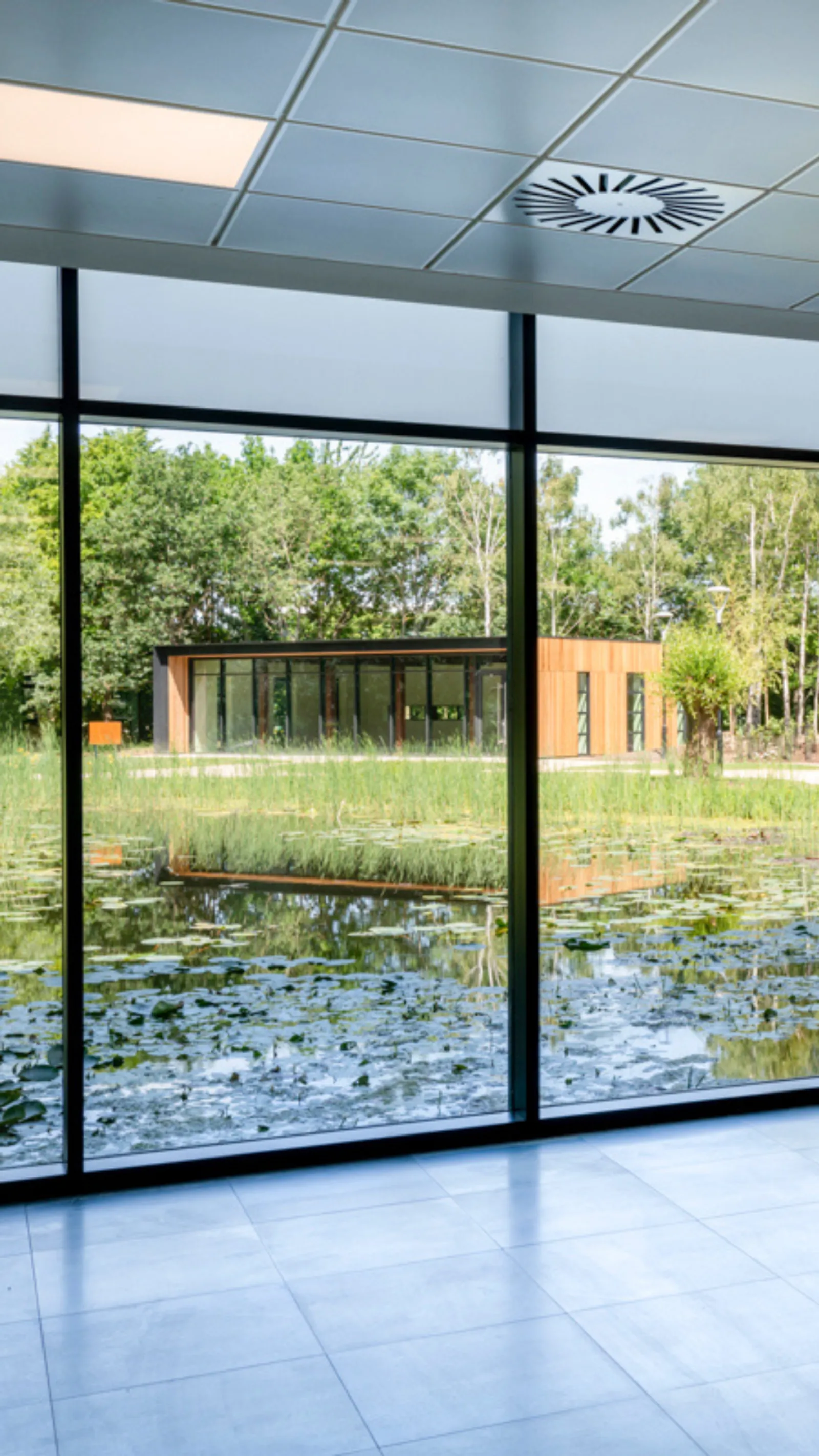 Earely Sustainability