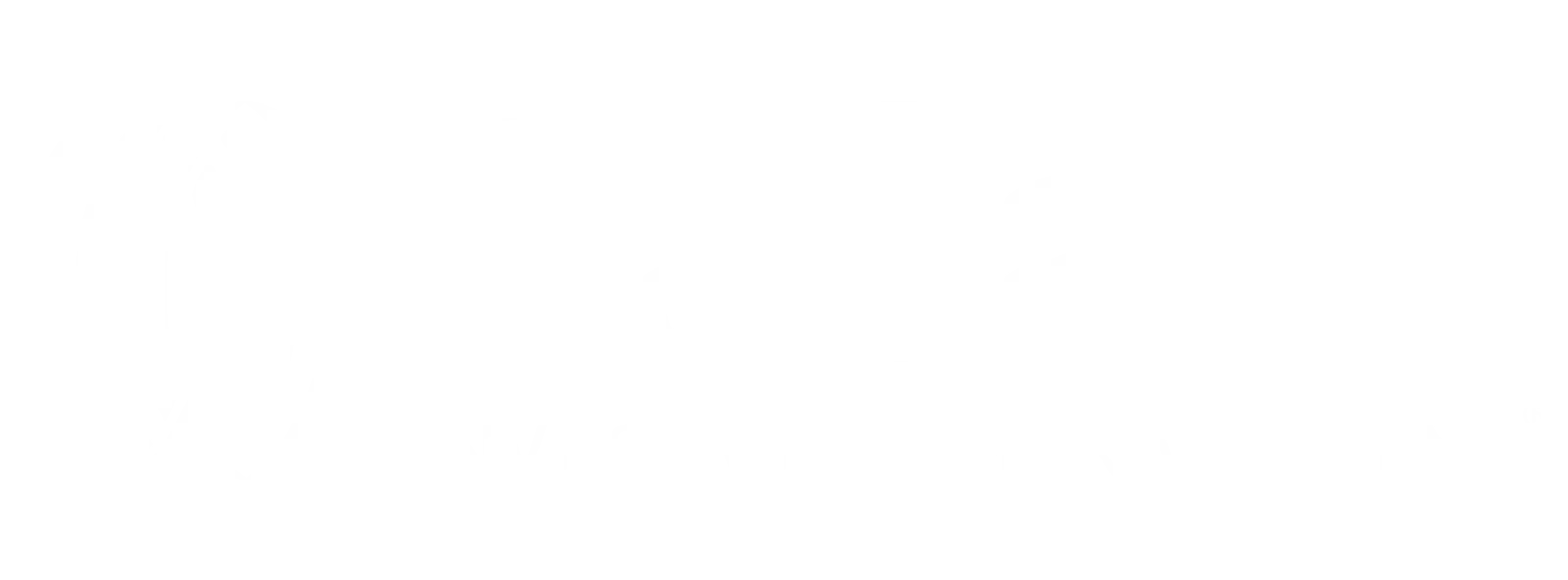 Lasalle white logo