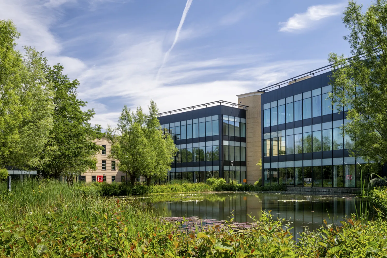 Microsoft Teams image